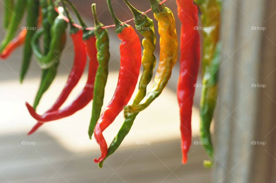 Peppers hanging up to dry