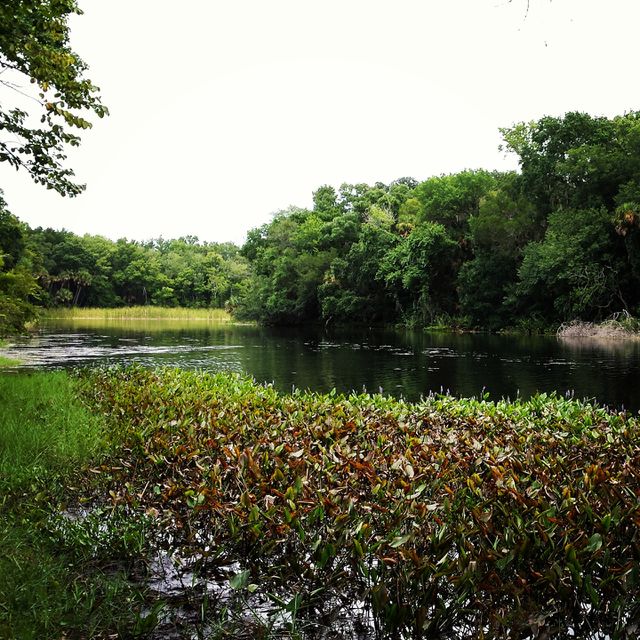 Alexander Springs, Florida