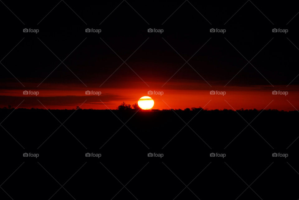 sky sun skyline sunrise by wyntersolstice
