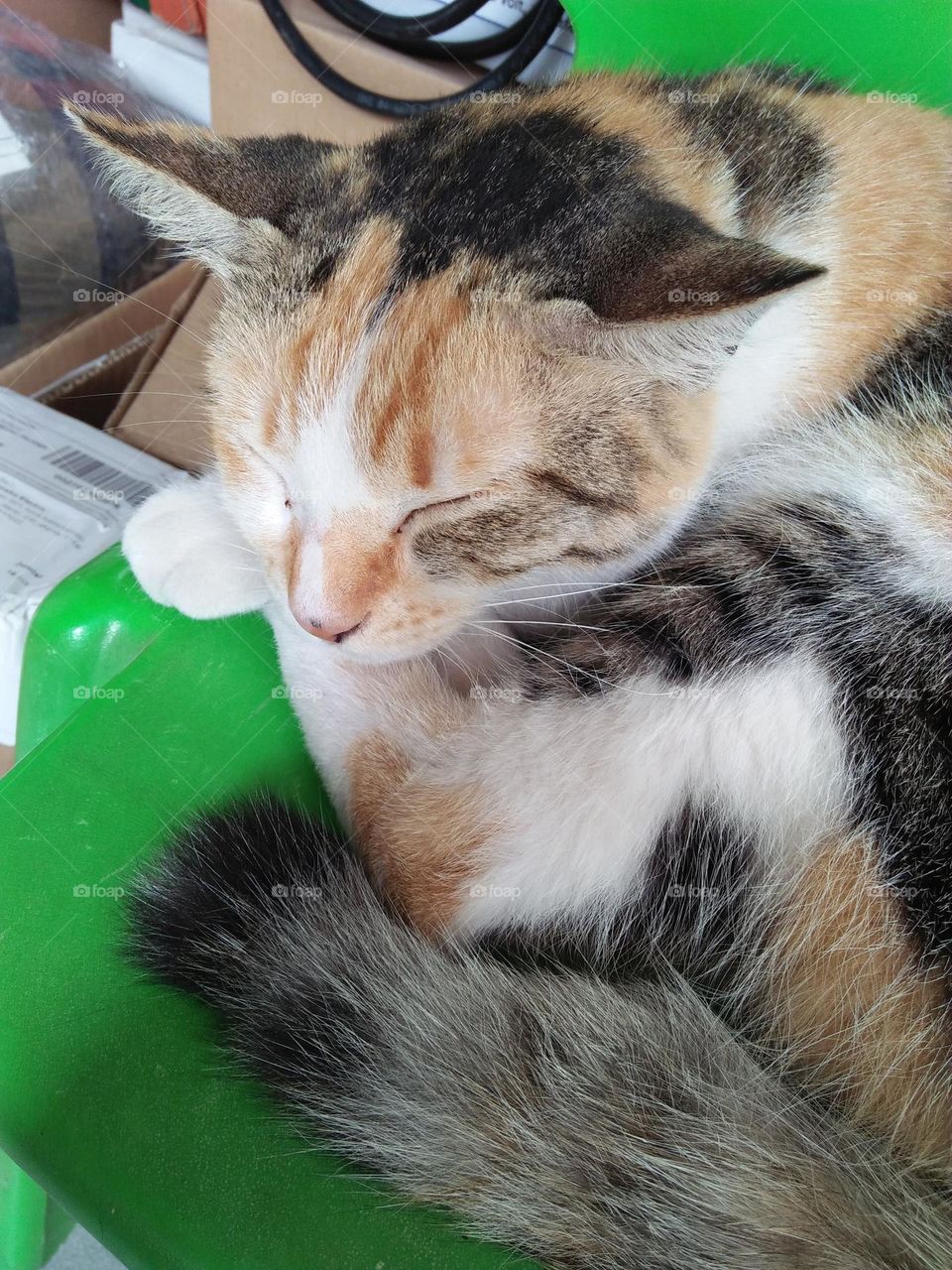 Let me sleep for a while