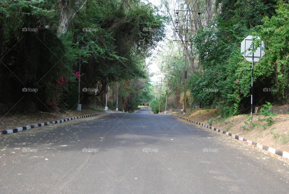 Road, Landscape, Tree, Guidance, Environment