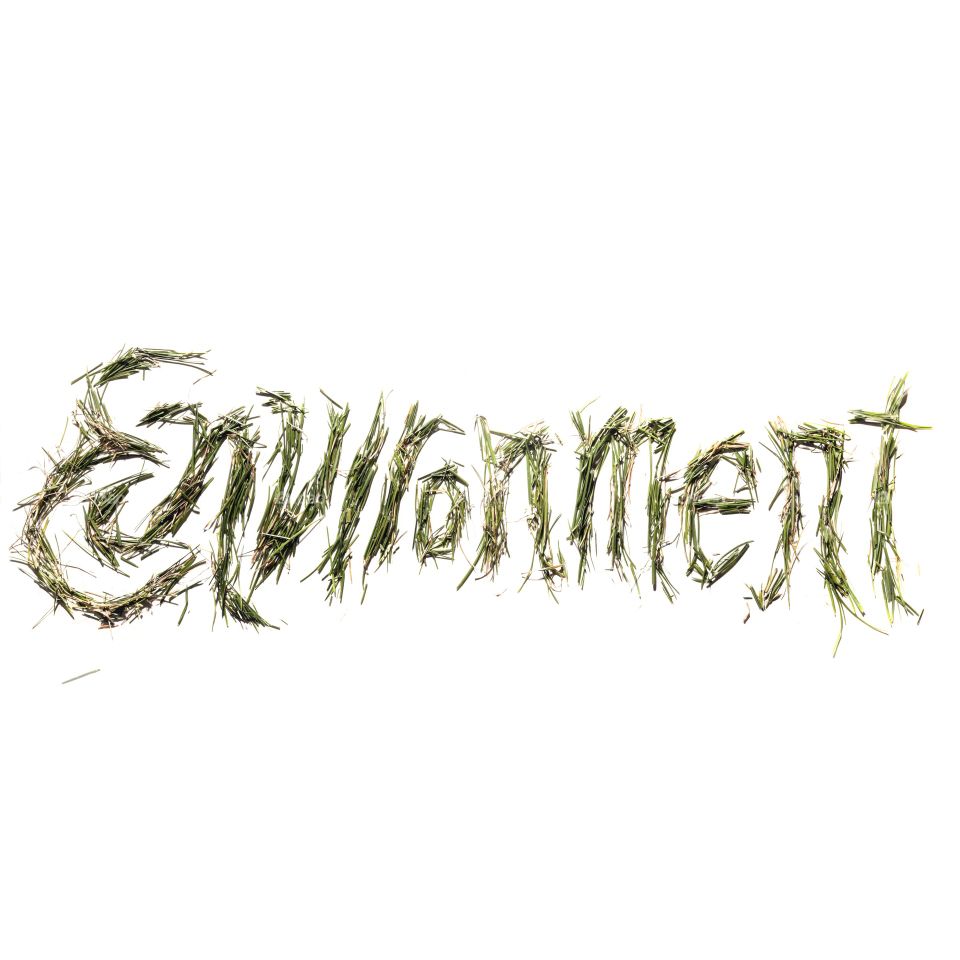 Environment. Did hand lettered type pieces for a faculty convocation booklet