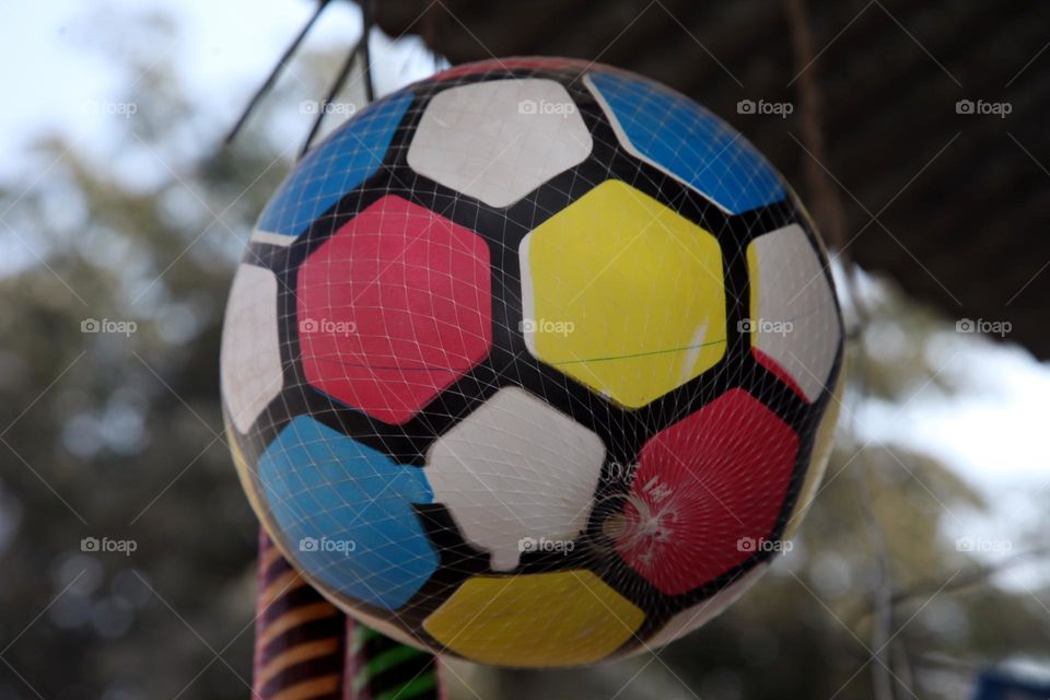 the best photo November