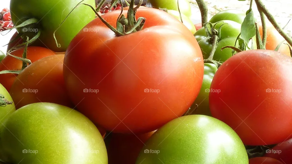 food