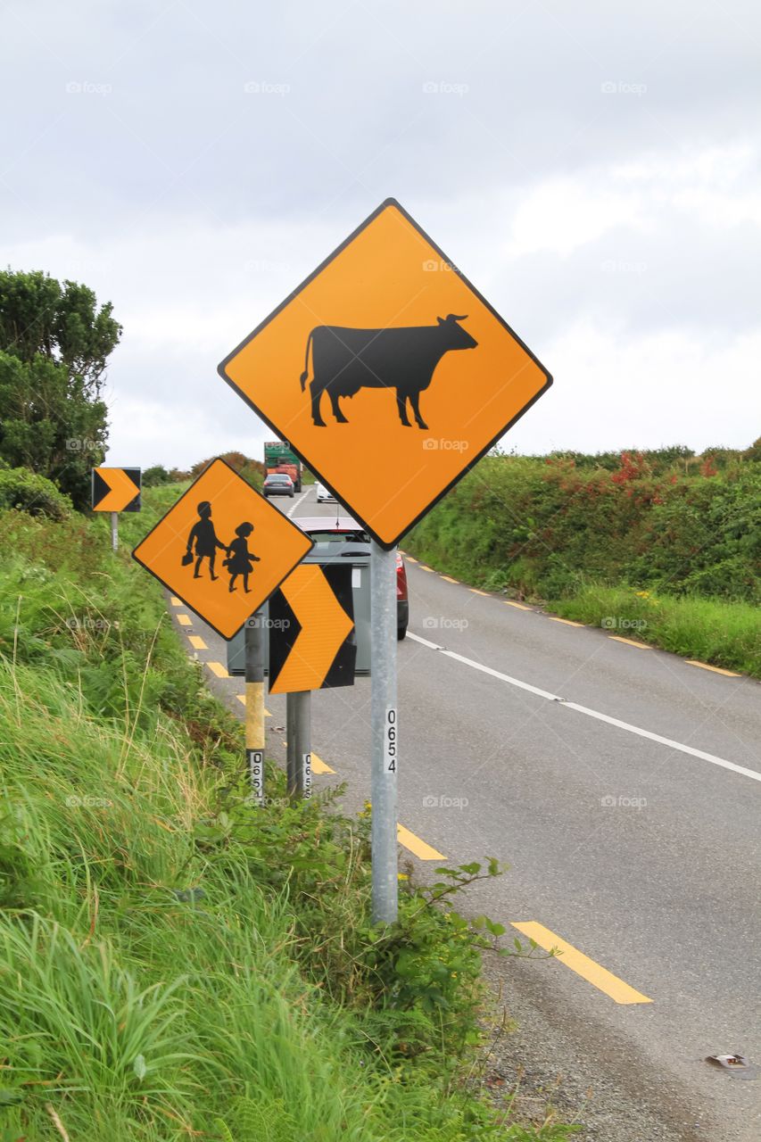 Road, No Person, Traffic, Guidance, Warning