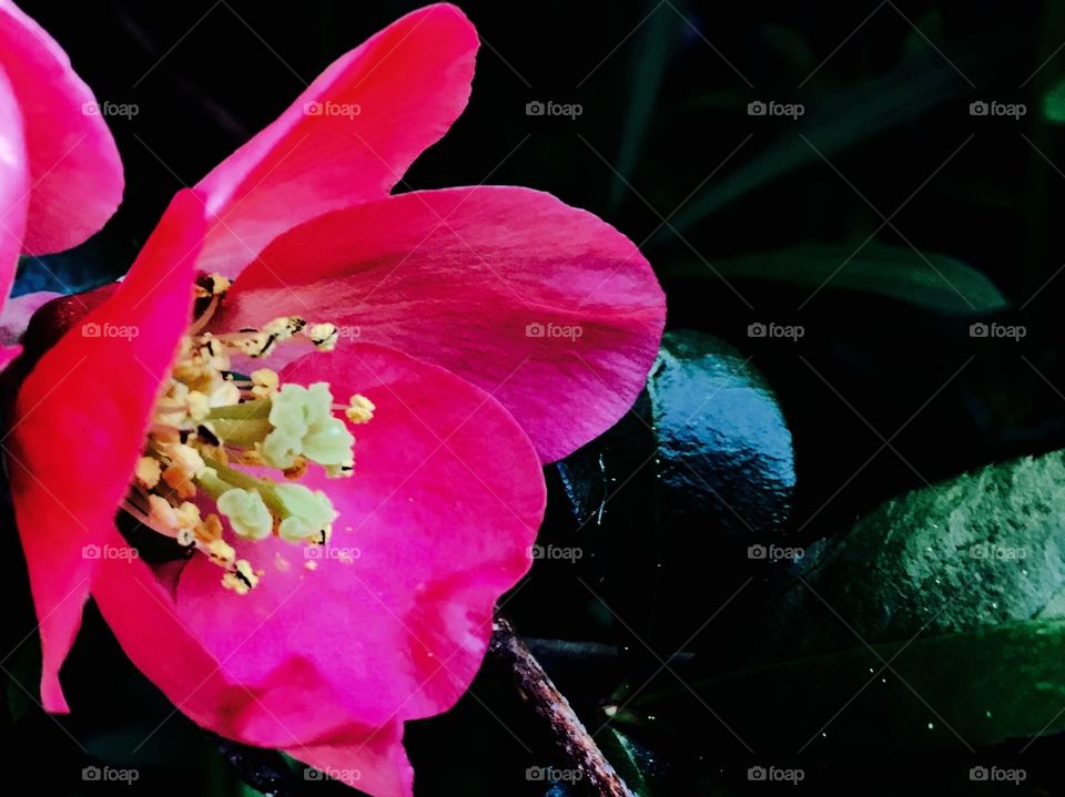 Light in the Darkness