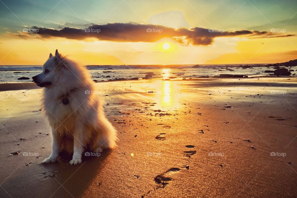 Walk in the beach, watching the sun set