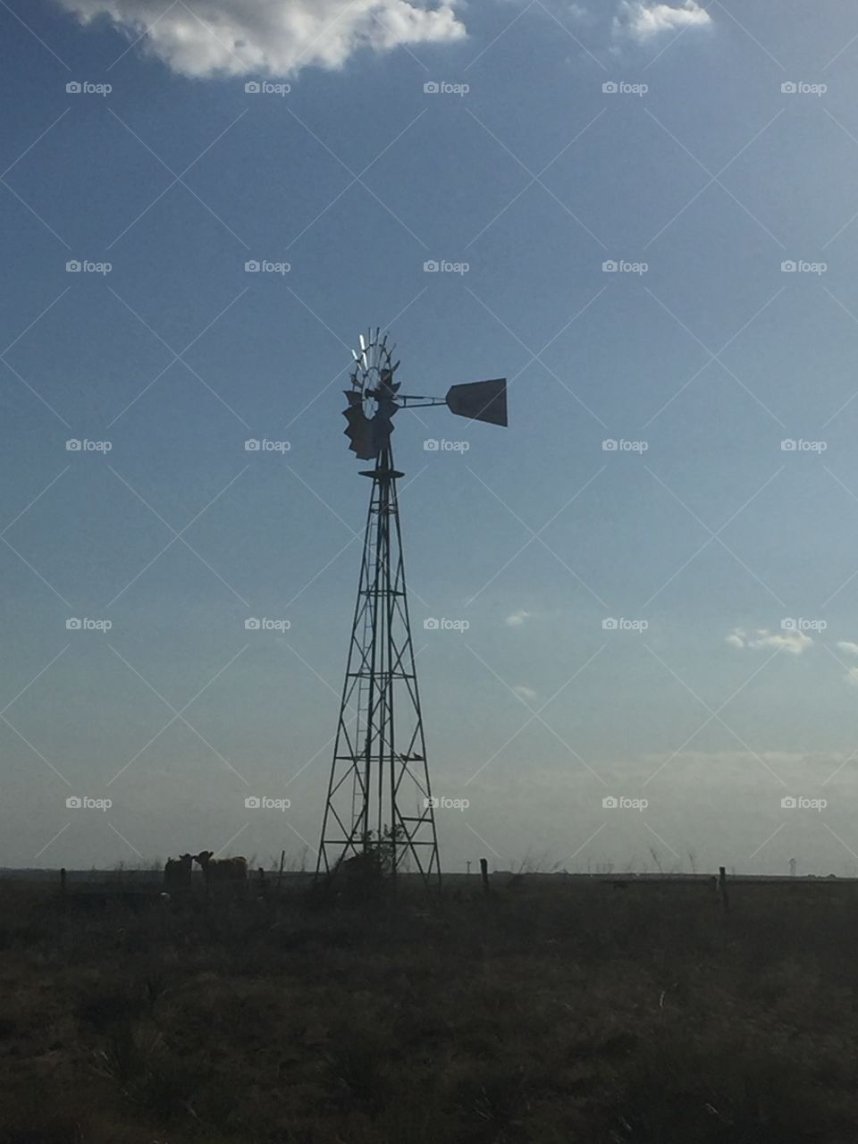 Amarillo, Texas Windmill, 2016