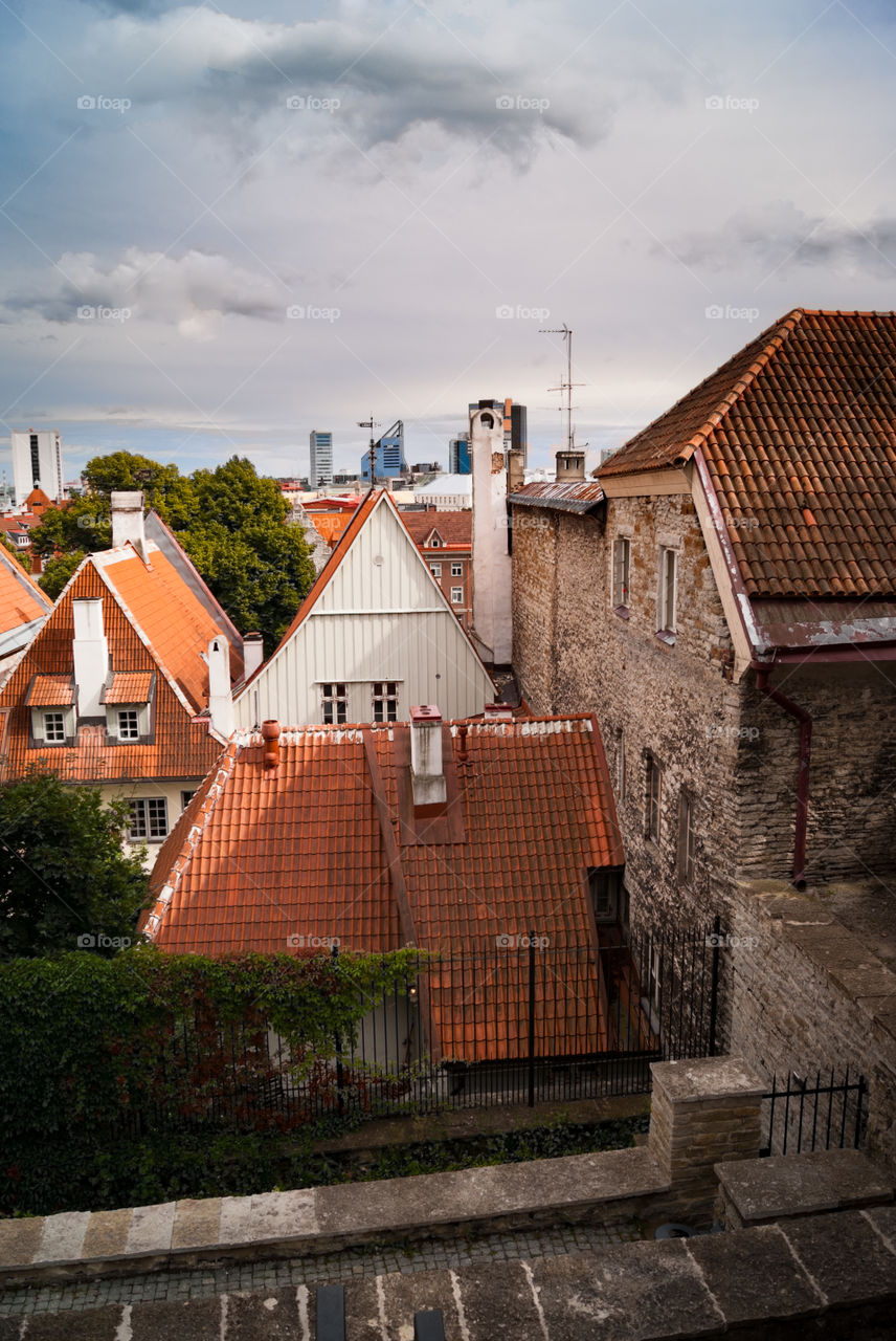 I really enjoy spending my time in the Danish King's Garden where you can taste the beauty of Estonian Old Town and also very special dishes in the Maiden's Tower right behind the camera.