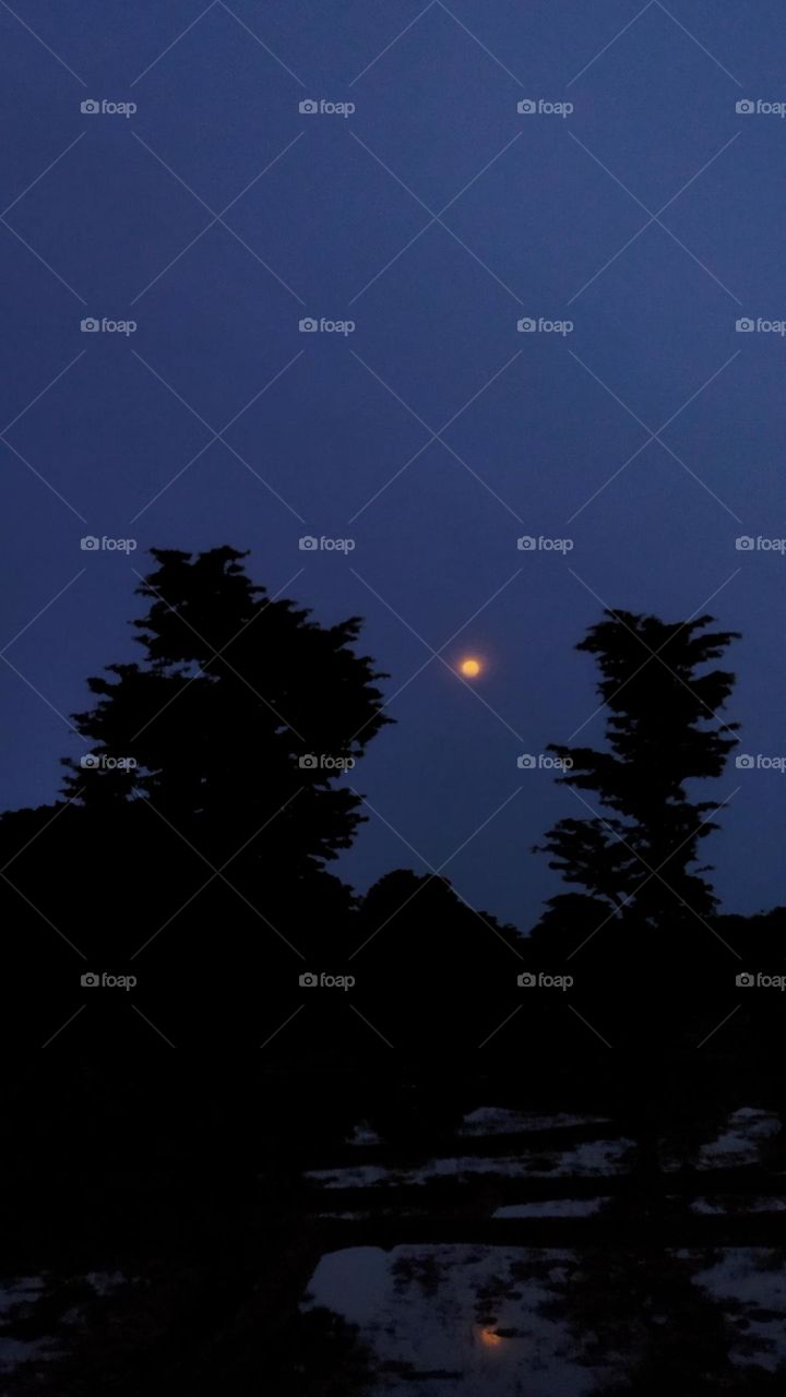 The moon has arrived