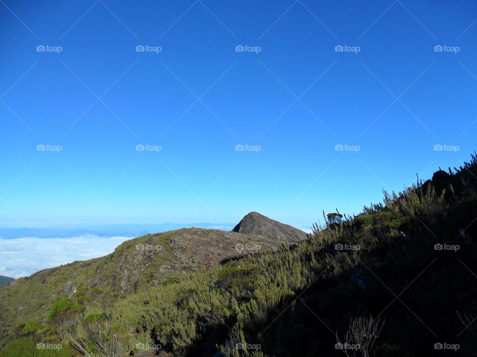 Blue and green nice combination