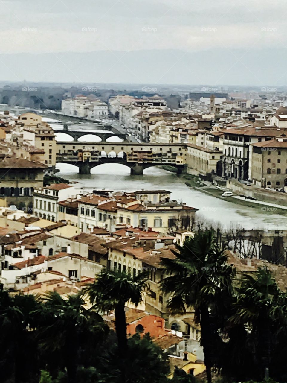 Overview of Florence from San Miniotto