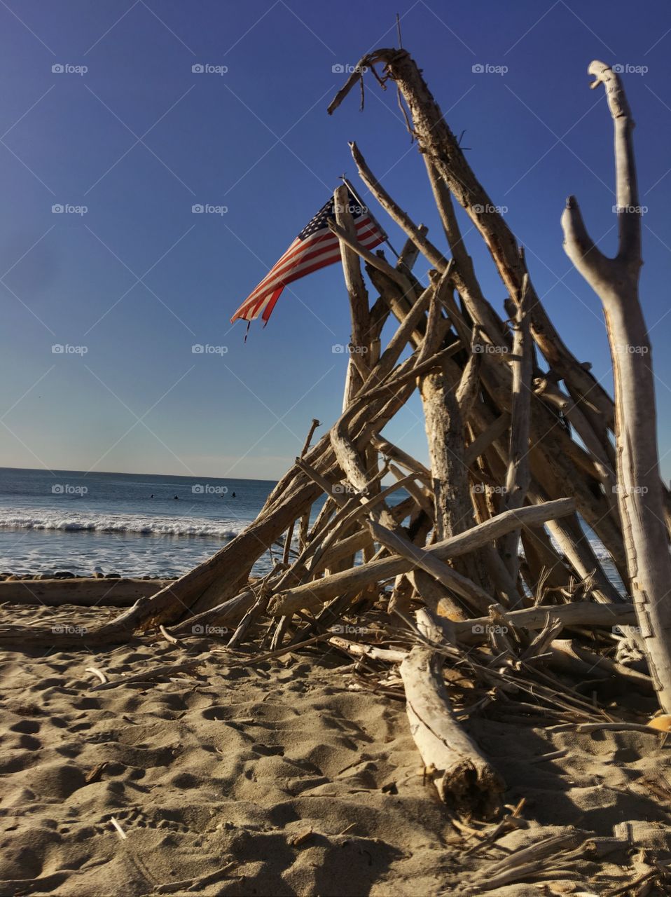 Driftwood with American Flag