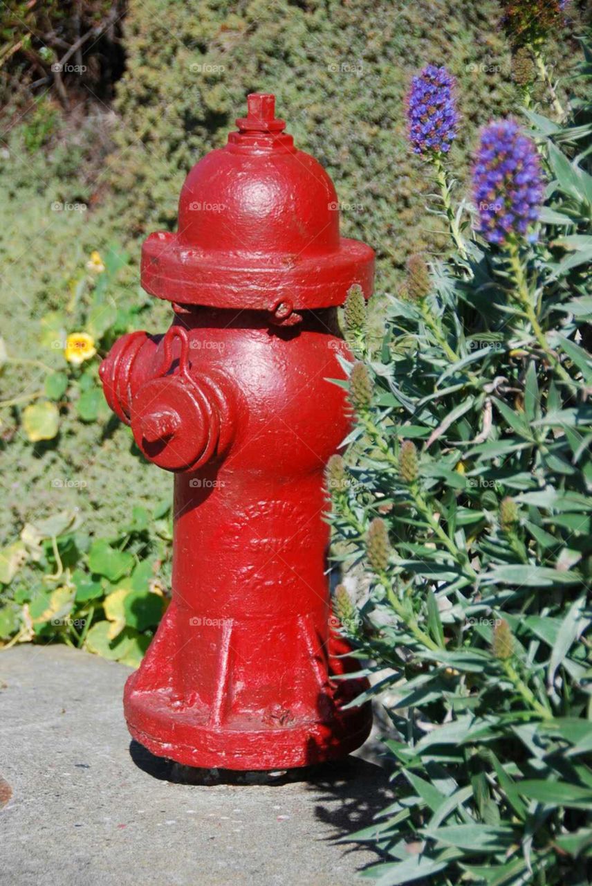 Fire hydrant at Alcatraz
