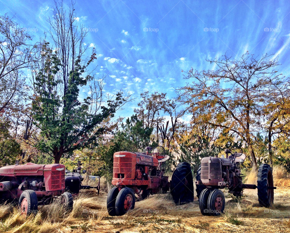 sky spring summer clouds by quick711