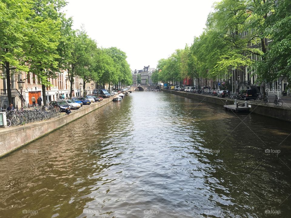 View of a canal, midday summertime in Amsterdam, Netherlands 