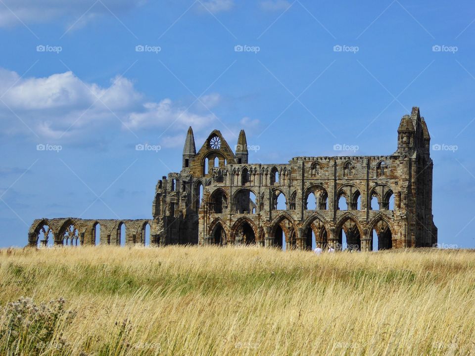 Whitby Abbey 