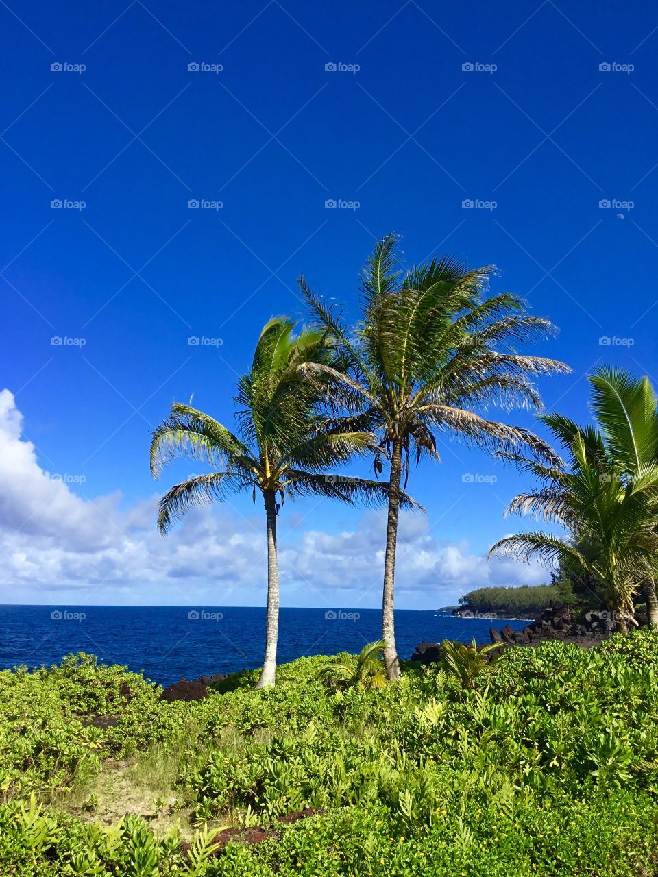 Blue sky day on the Big Island 