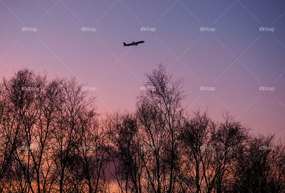 Airplane flying in sky during sunset