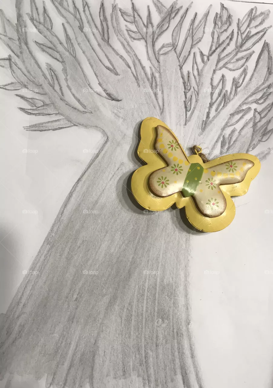 Butterfly