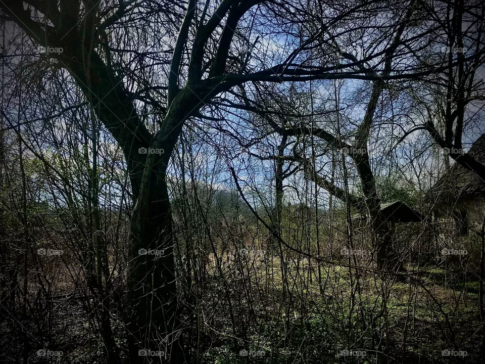 mysterious place