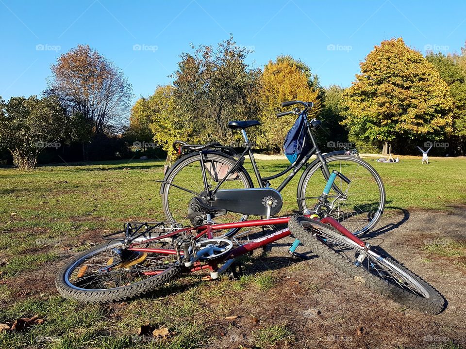 bicykles in the park