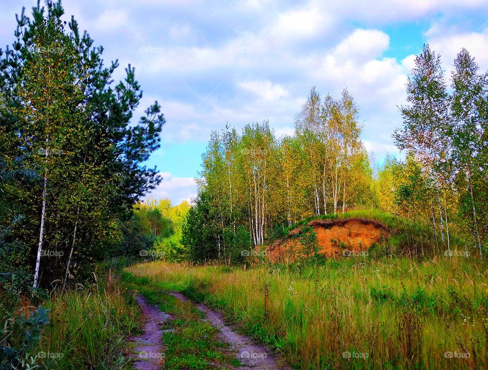 Beginning of autumn.  Dirt road along the forest