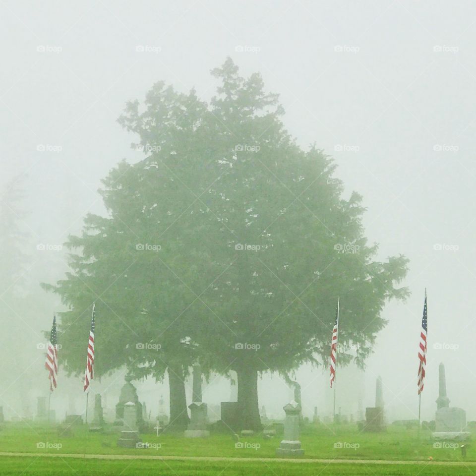 Foggy memorial 