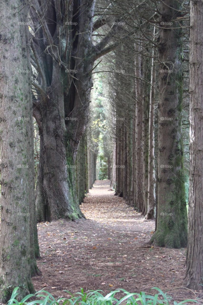 Simple photo but it was good view 