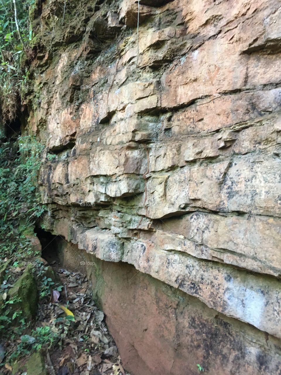 Rochas sedimentares 
