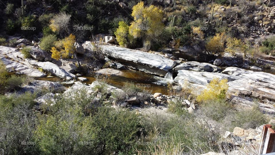 Tannin Water in Sabino Canyon