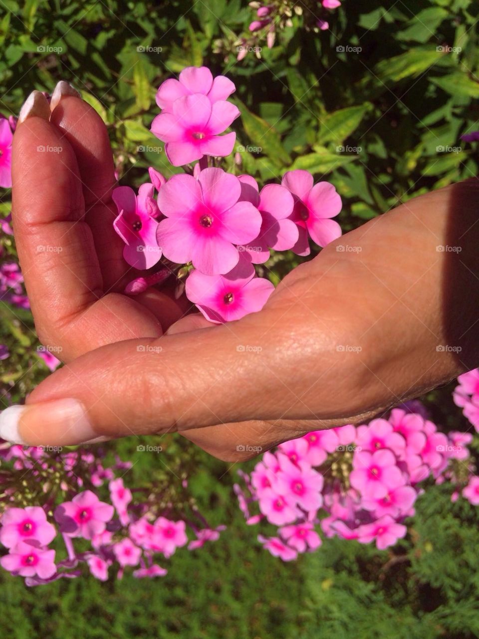 Beautiful blooms 