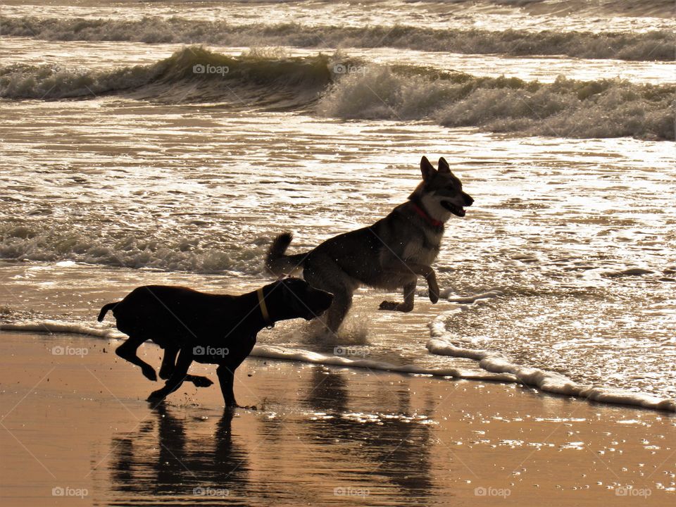 On the beach