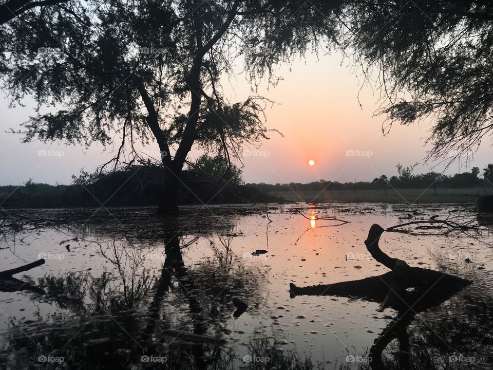 A temporary swamp takes over some grassland. Trees are silhouetted from the sunset. Water reflects the scene. The sunset emits colors of oranges and purples. 