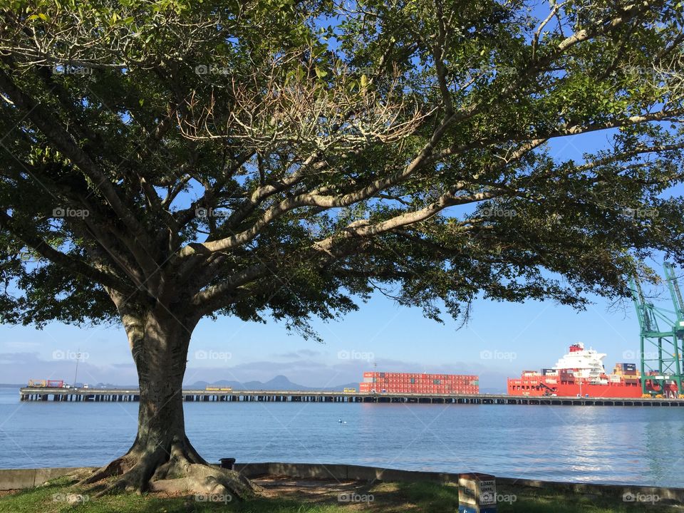 Port and Tree