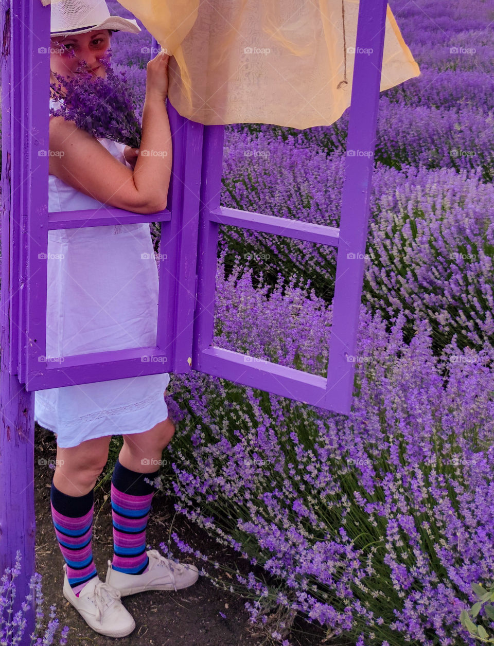 Framing the lavender elegance