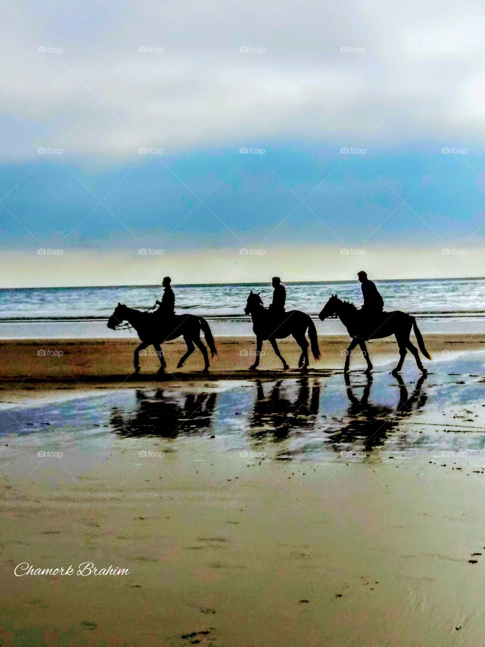 I was on a beach walking and these horses attracted my attention by their beauty.It is sooo amazing