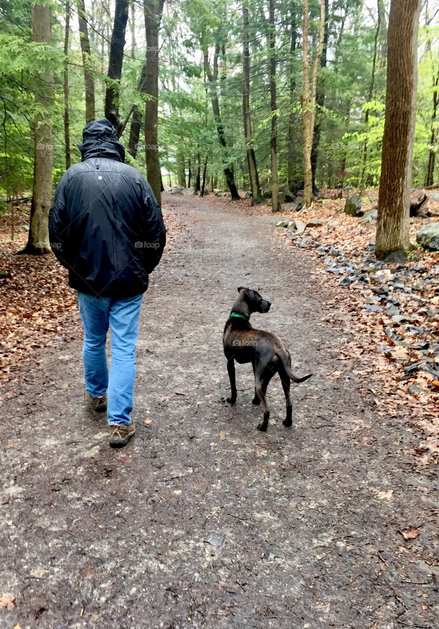 A man and his dog hiking