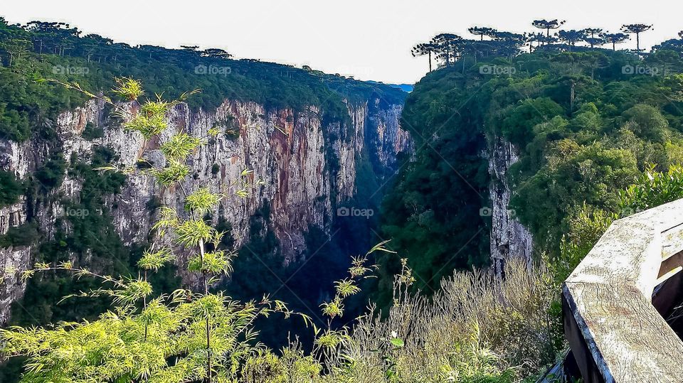 Canyon Itaimbezinho : Panoramic view of the cliffs and typical vegetation of the Region
Canyon Itaimbezinho : Visão panorâmica dos paredões e da vegetação típica da Região