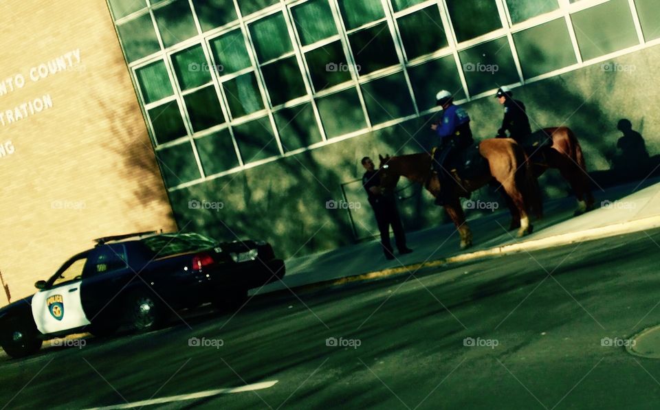 Sacramento police car and horse 