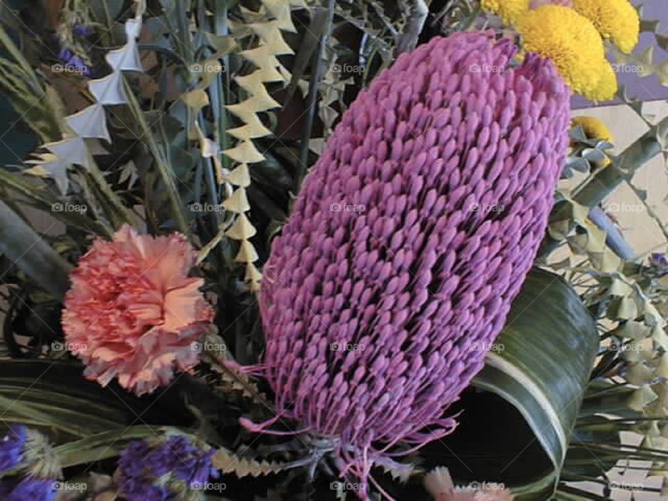 Purple Egg Flower