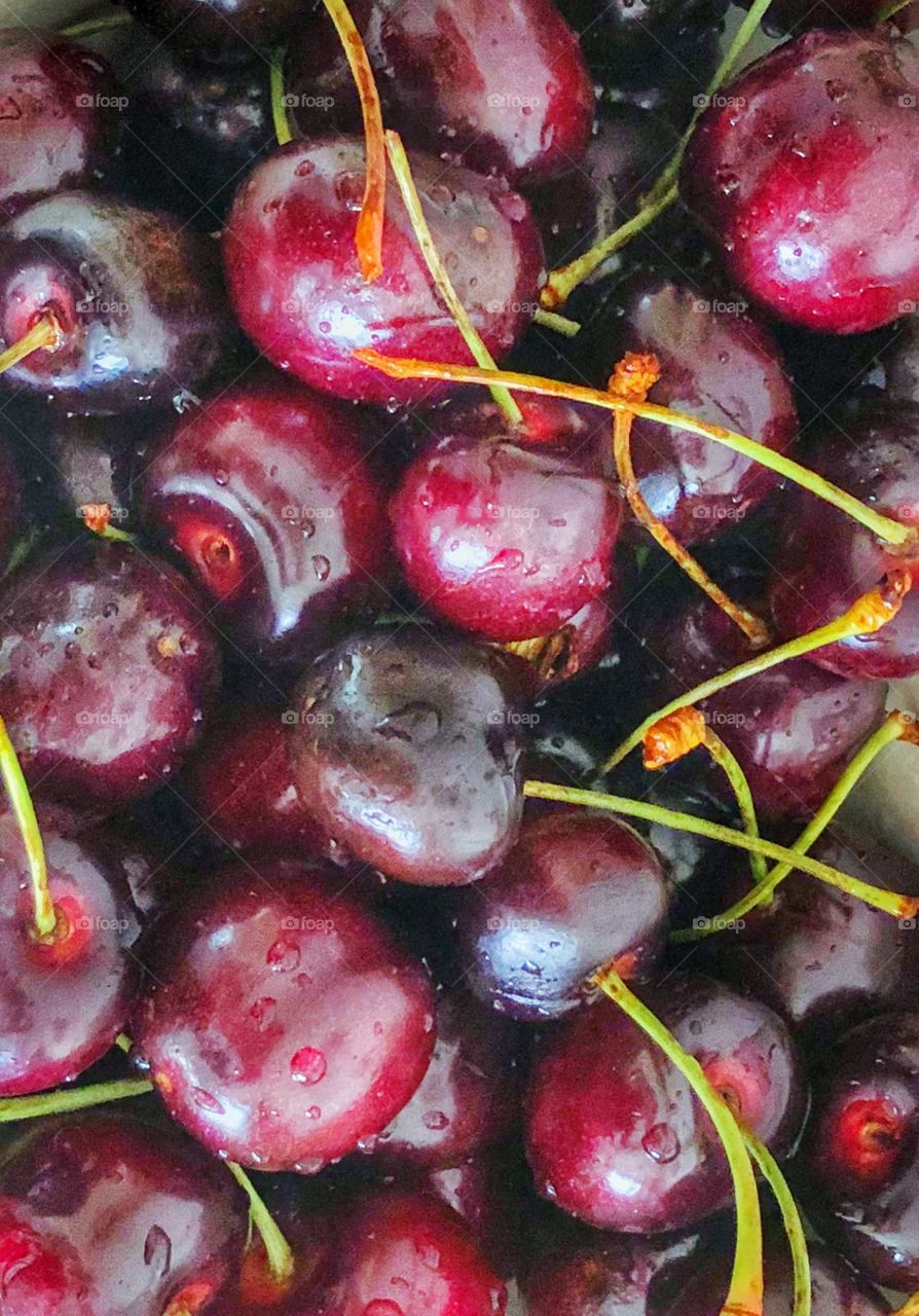 Fresh sweet plump red cherries with stems on a table washed and ready to eat. Nutritious fruit snack. 