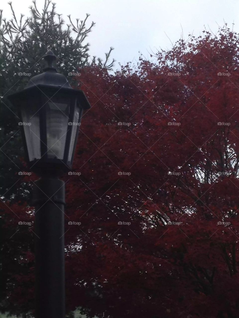 Waiting for the light to go on. Ideas manifesting.