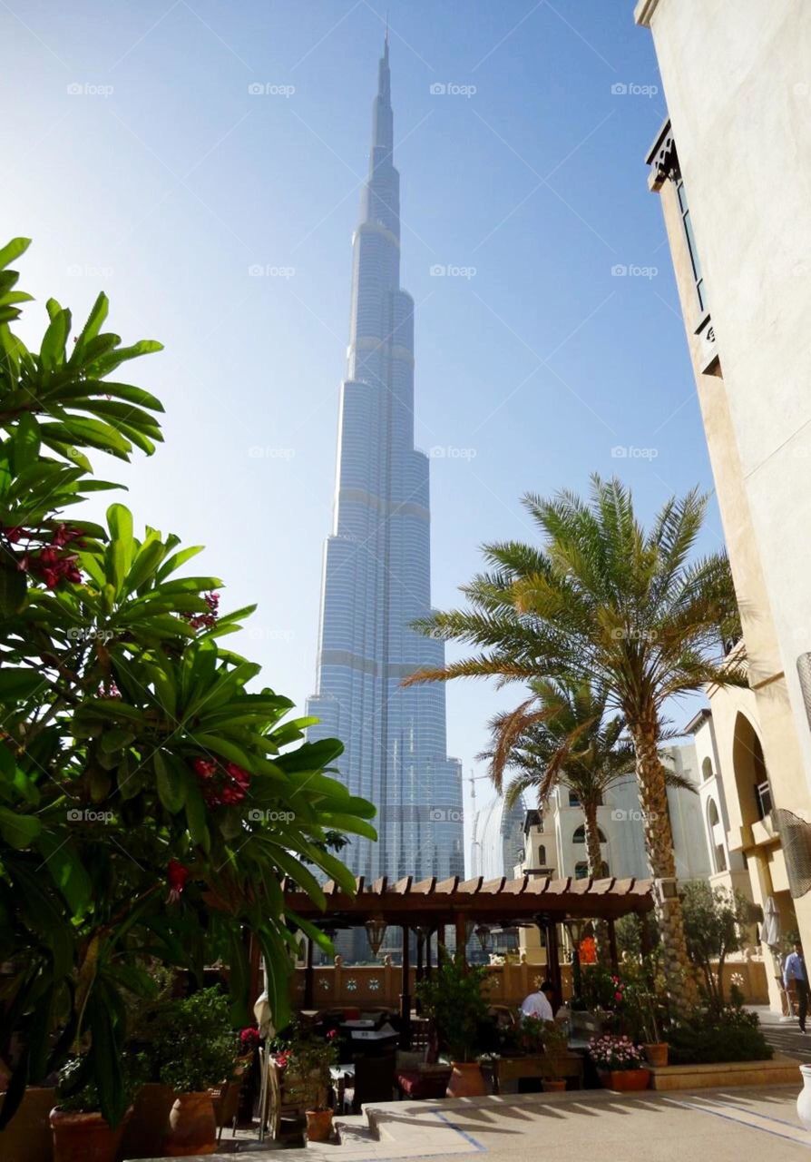 burj khalifa view from urban garden ,Dubai 