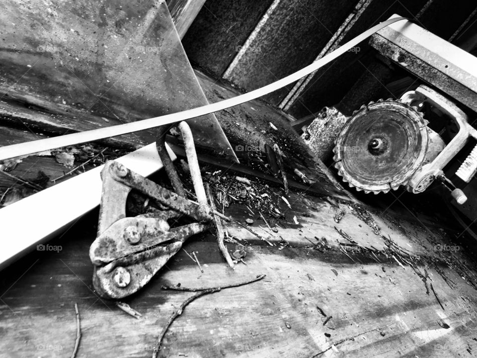 Abandoned Jungleland Zoo