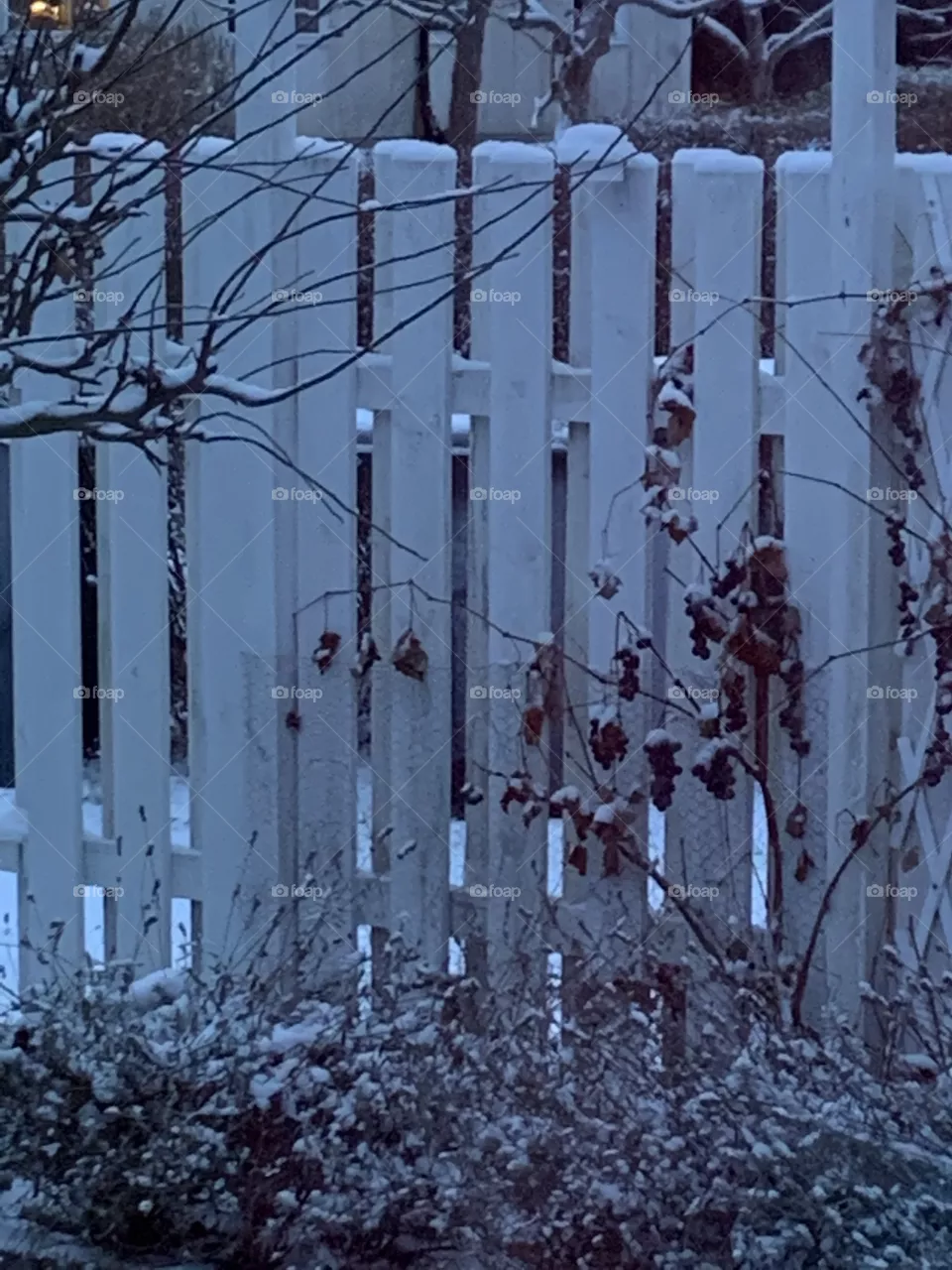 Winter