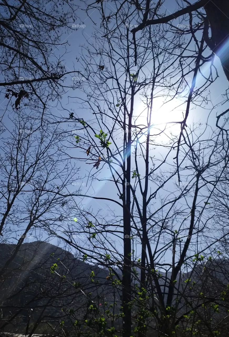 sun light