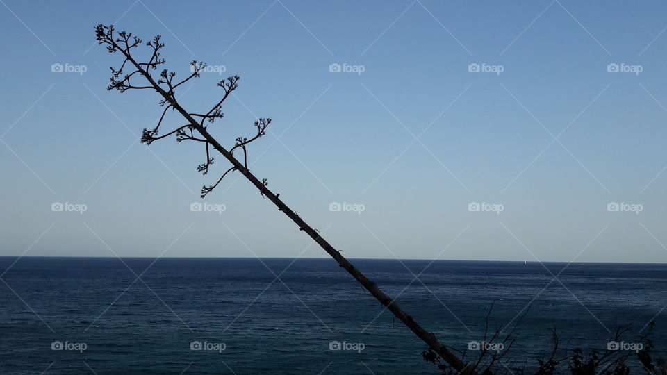 Water, Sky, No Person, Sea, Ocean