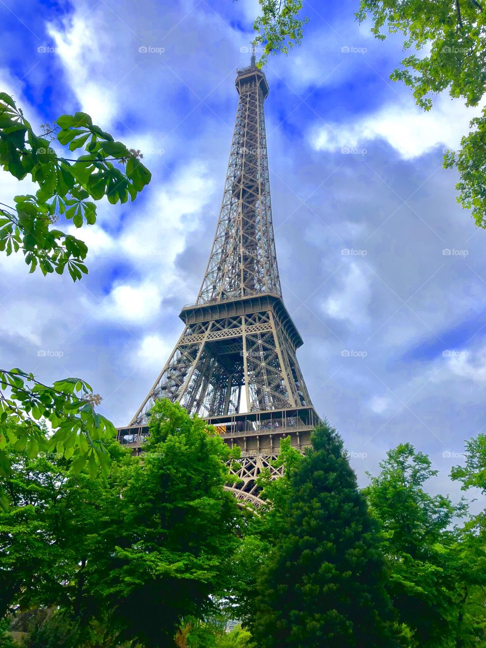 Tree lined view of the Eiffel Tower on a cloud covered day in Paris, France