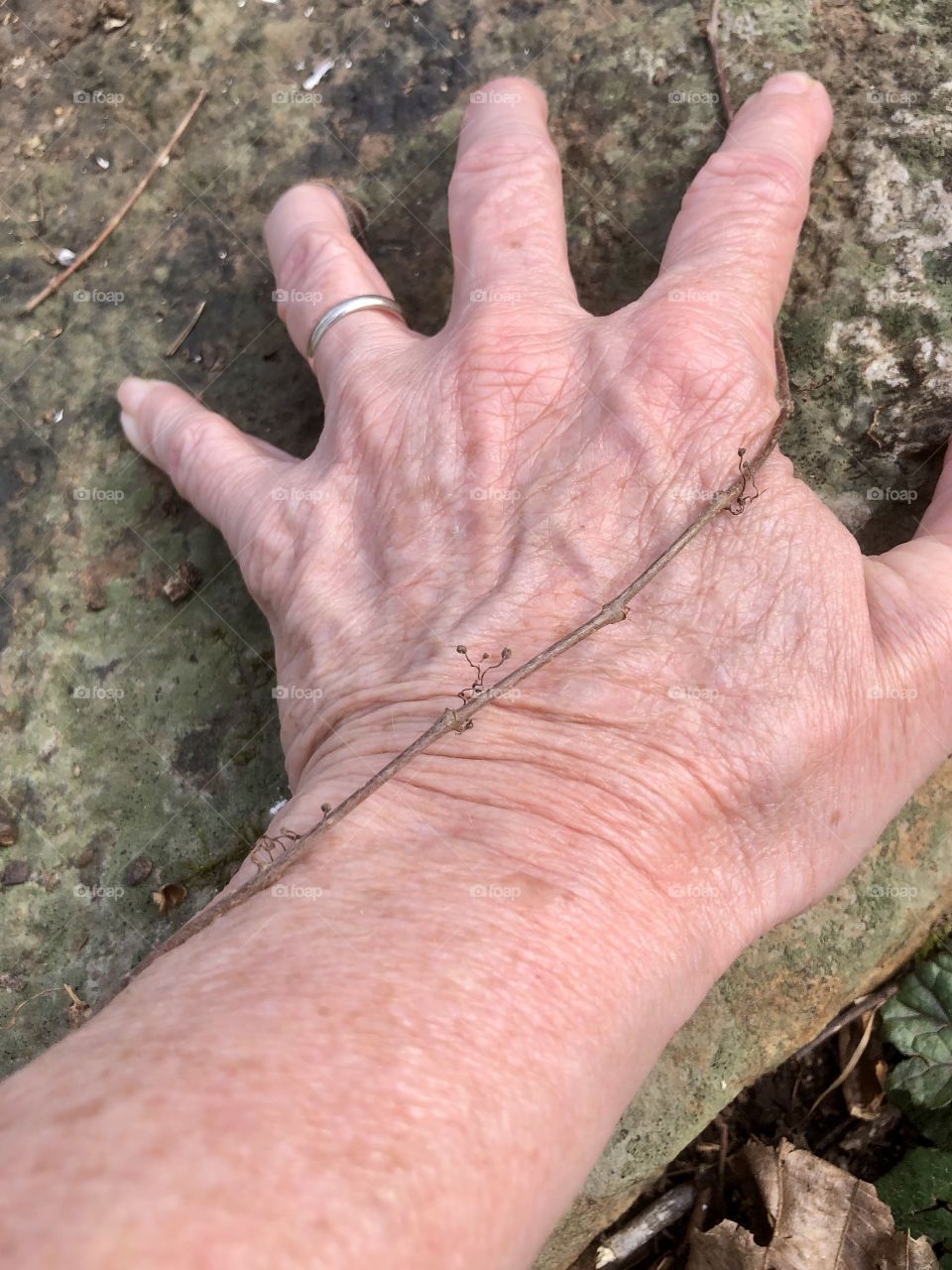 Grounding myself in the natural world 